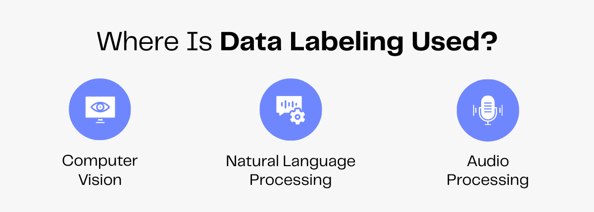 Data labeling use cases: Computer vision, natural language processing, and audio processing.
